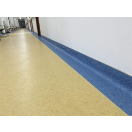 海南塑膠地板公司、海南塑膠地板、君衡(查看)