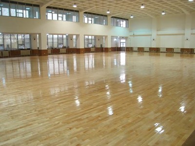 塑膠地板與運(yùn)動(dòng)場(chǎng)地材料全解析 哈爾濱塑膠跑道、人造草坪及塑膠球場(chǎng)施工